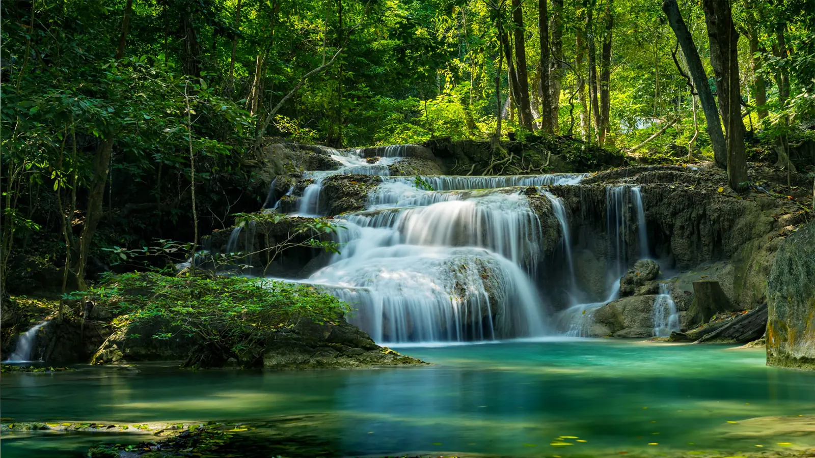 A waterfall falling through green forest — the vision image used on Realms of Revelation